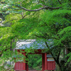 緑の赤門