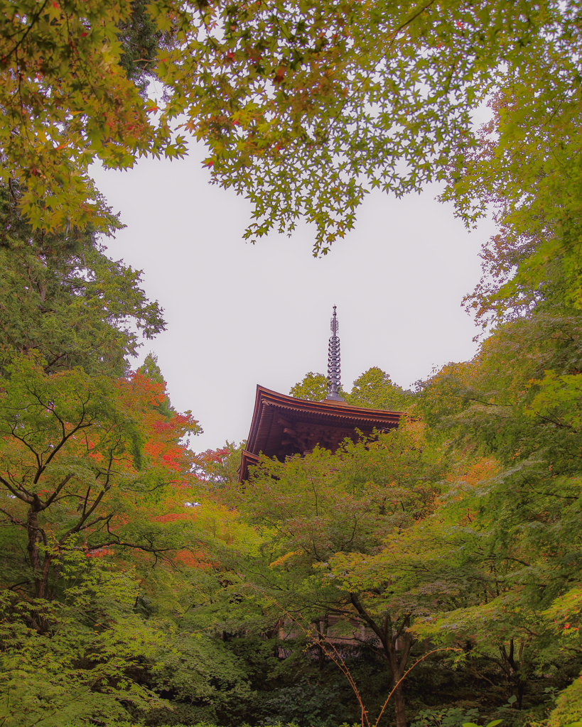 ♡の金剛輪寺