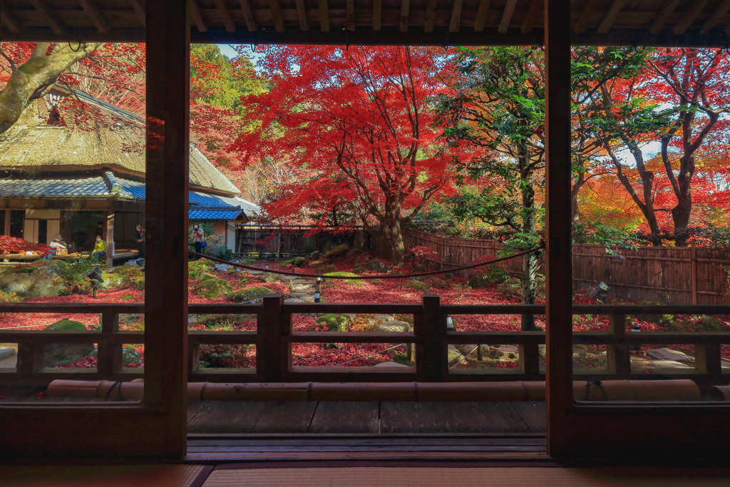 Temple of autumn leaves⑦～額縁入り