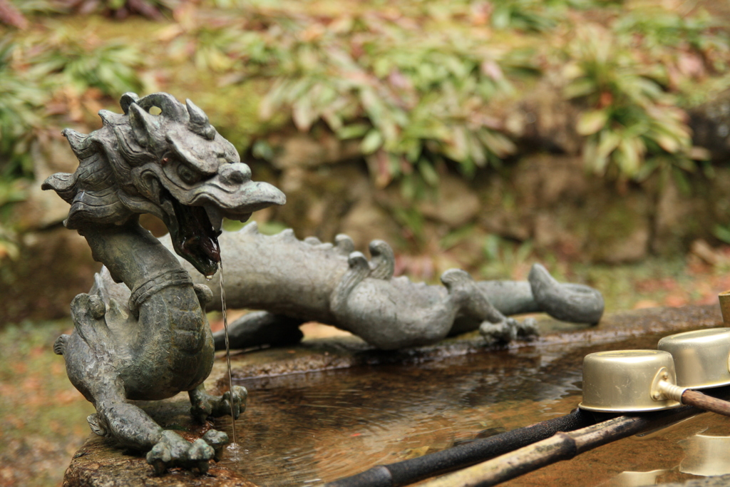 金剛輪寺の龍