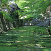 参道②