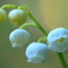 「return of happiness（再び幸せが訪れる）」