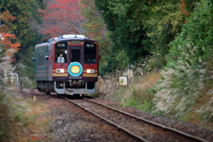 たぬき列車、信楽行き