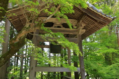 高源寺①～緑の鐘楼