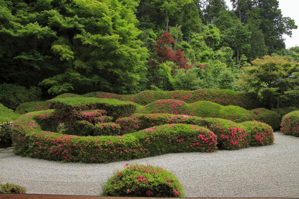 Zen Garden③