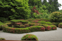 Zen Garden③