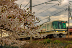 通過列車