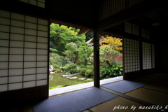 蓬莱池泉庭