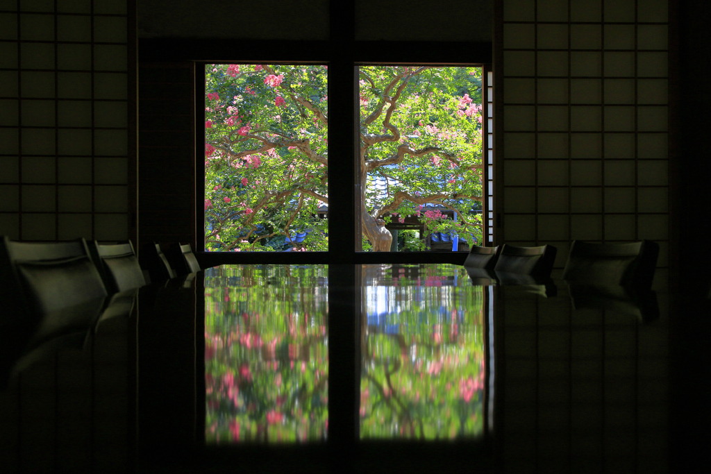 米原の古刹にて～額縁の百日紅
