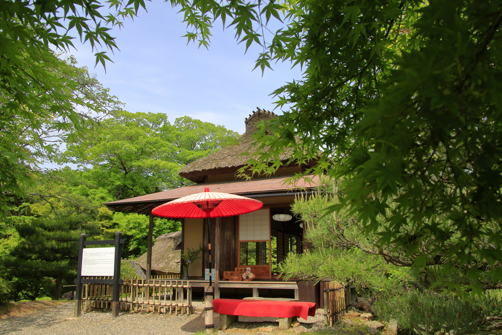 初夏の茶屋