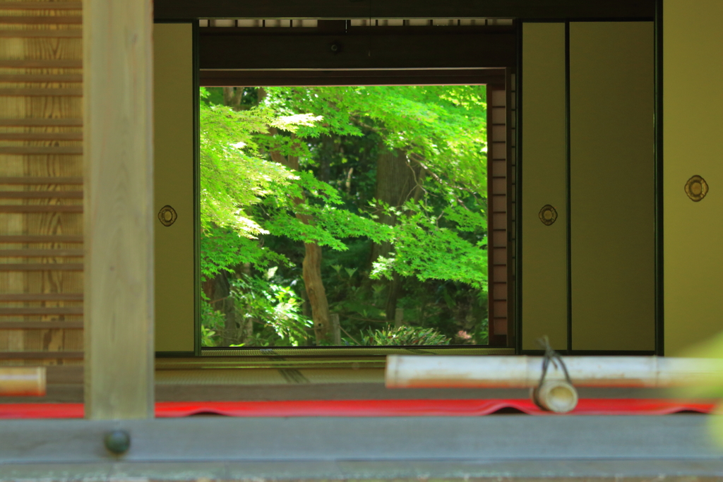 明寿院③