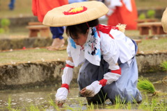 お田植祭②～心を込めて