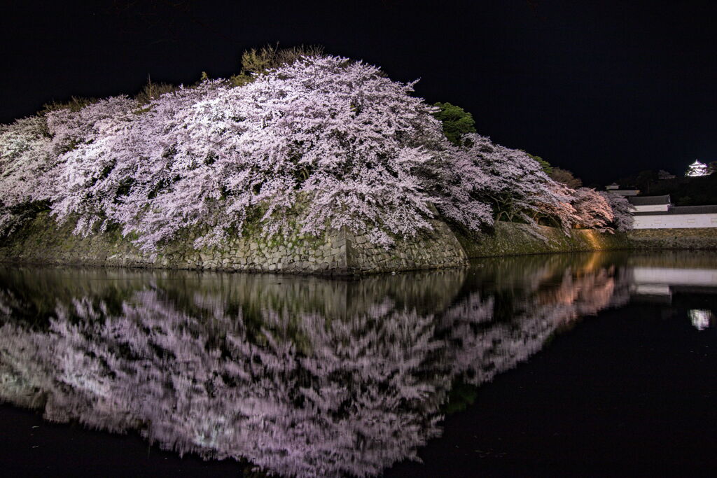 18彦根城の春 By Masahiko H Id 写真共有サイト Photohito