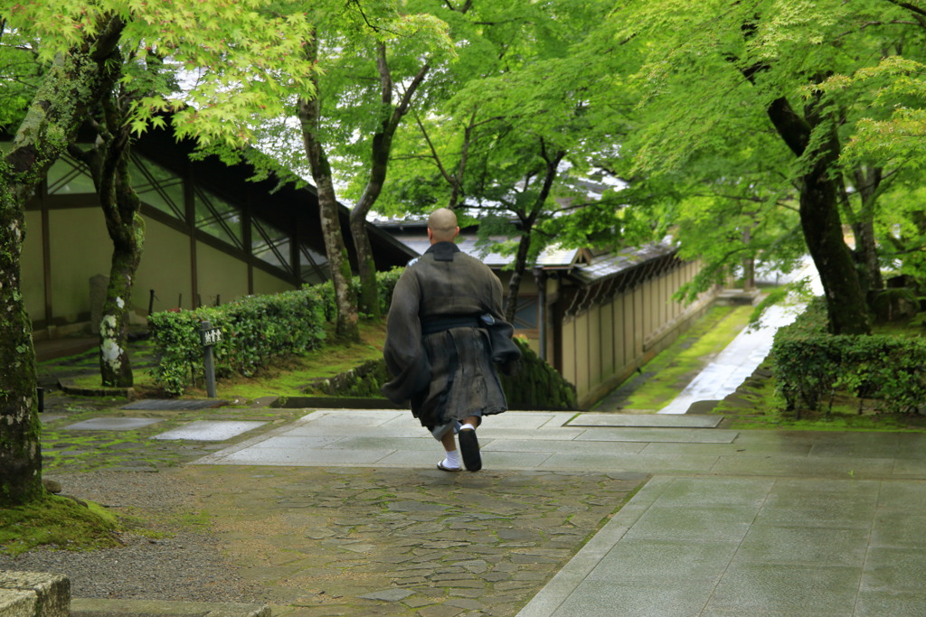 永源寺～師も走る