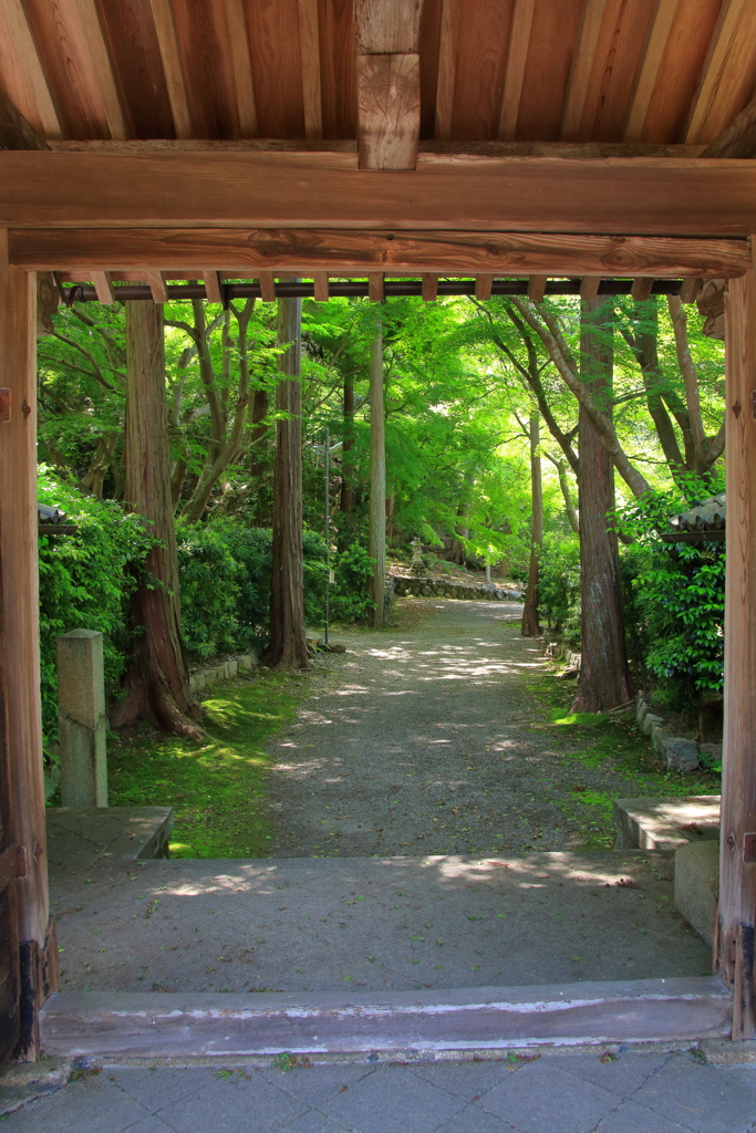 参道