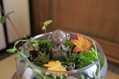 世界人類が平和でありますように②