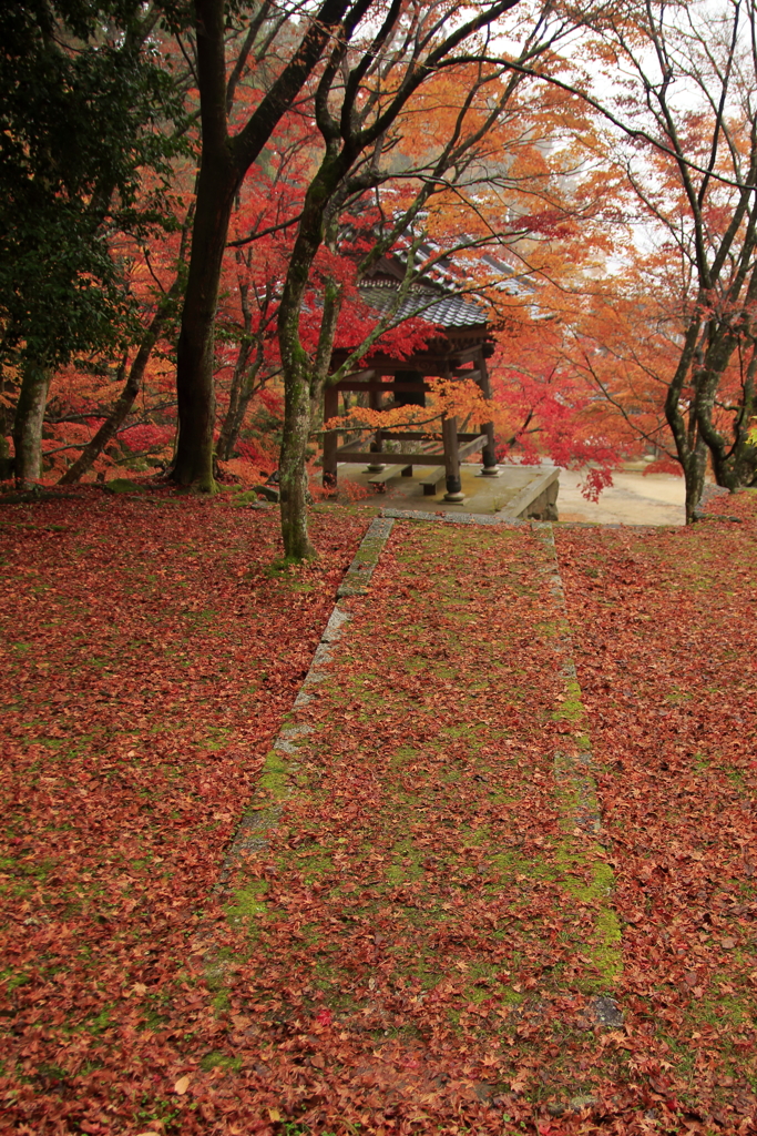 紅葉の緋毛氈