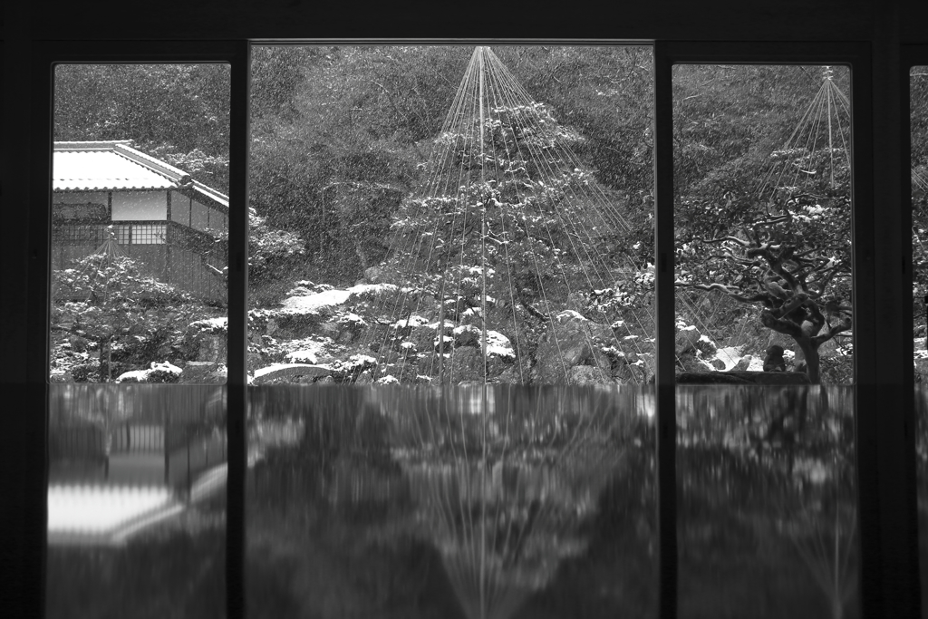 冬のBASARA庭園①