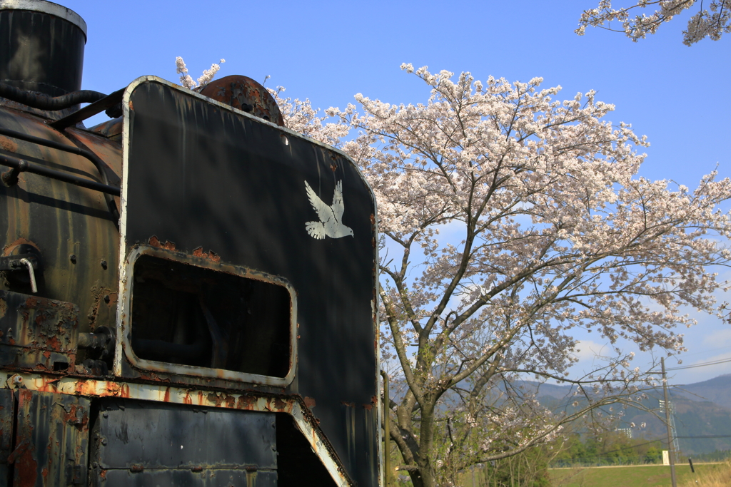 除煙板