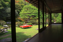 負けない庭園