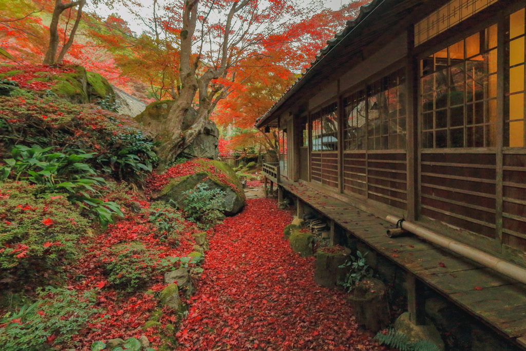 隠れ里の秋2020～敷き紅葉の小径