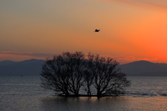 琵琶湖夕景
