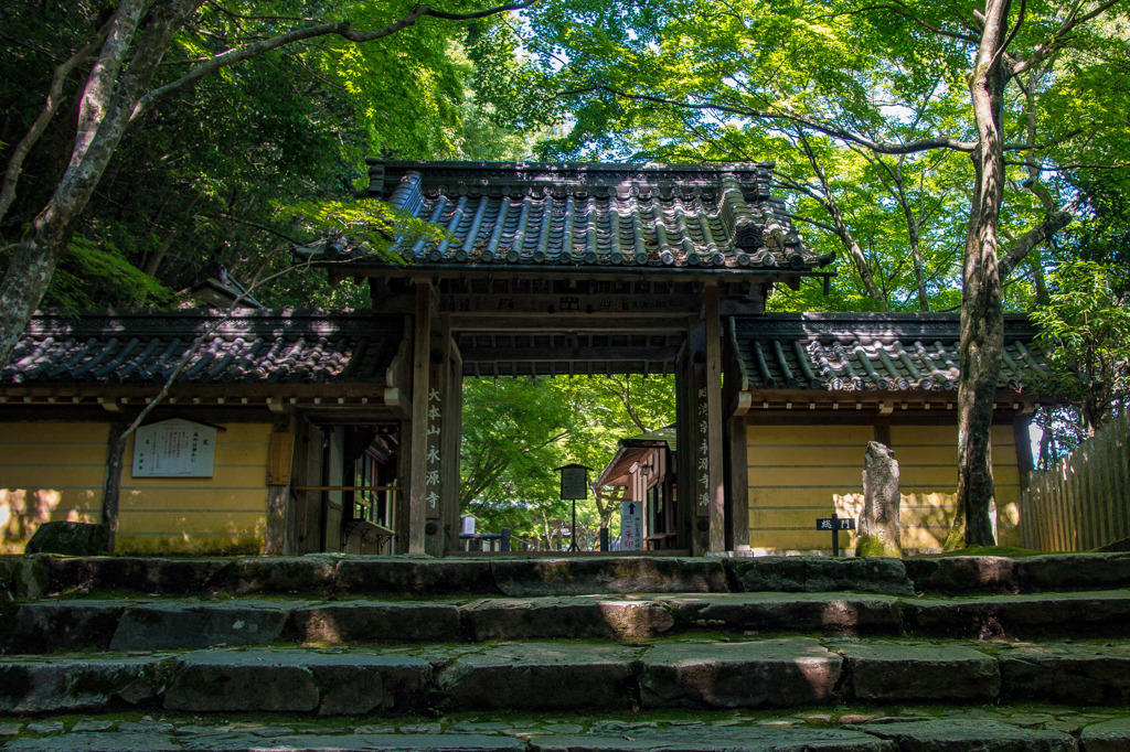 夏の永源寺