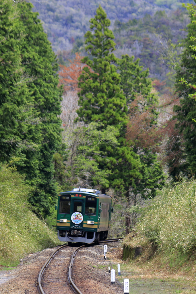 御伽の国行き小人の高原鉄道②