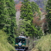 御伽の国行き小人の高原鉄道②