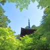 ハートクラブ