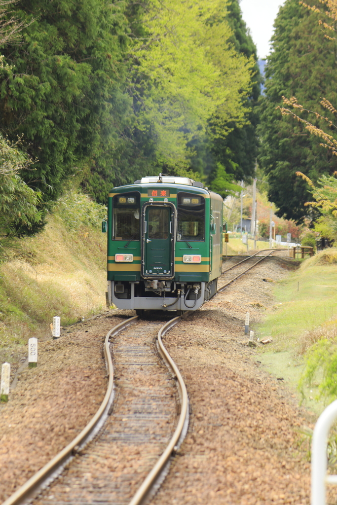 御伽の国行き小人の高原鉄道③