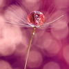 紙風船～M's drops（２）