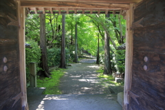 新緑の山寺参道