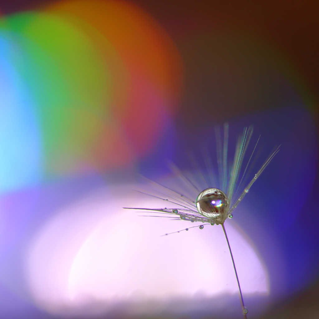 M's drops 4４～三原色