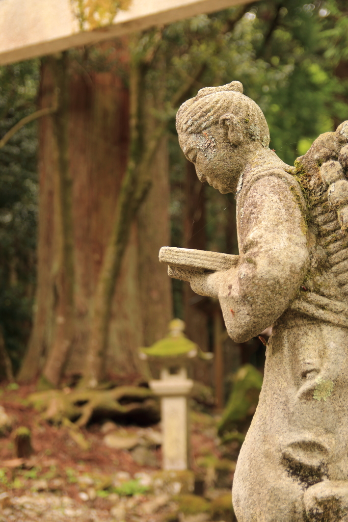 森の中の金次郎