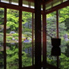 リフレクションの寺①