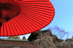 朱と蒼と・・・