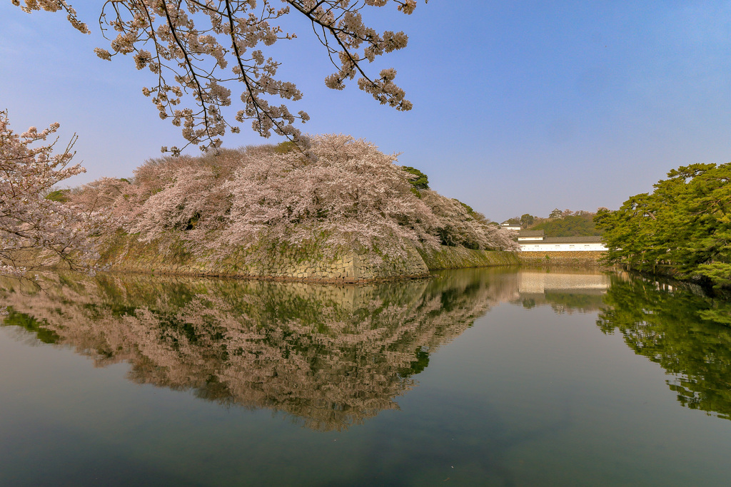 桜の城