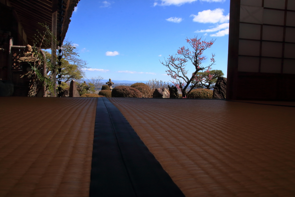 ちょっと失礼