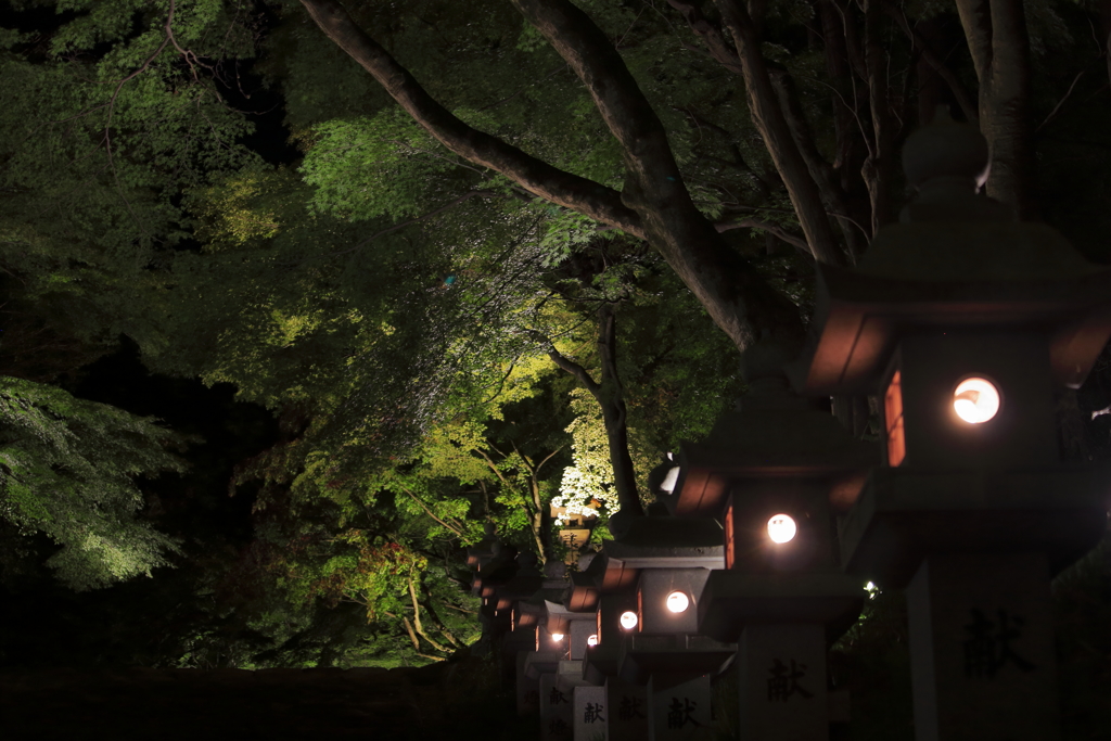 神あかり2018～連なる灯篭