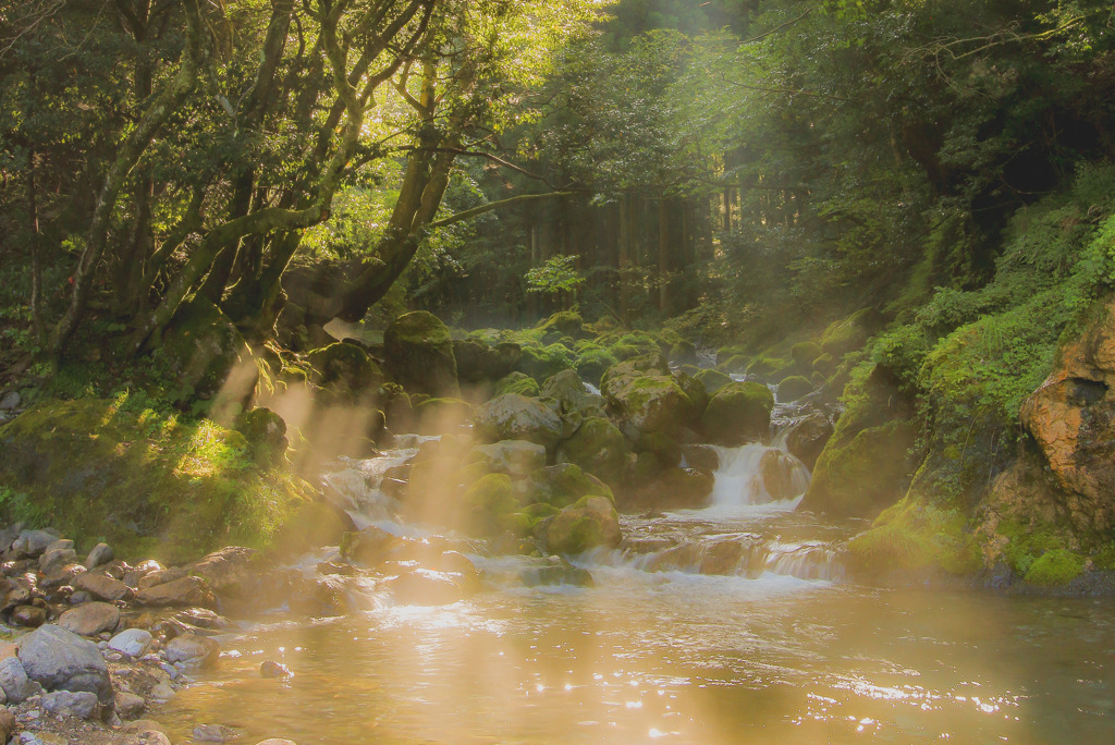 光のシャワー By Masahiko H Id 写真共有サイト Photohito