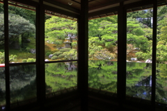 色付きかけのreflection①
