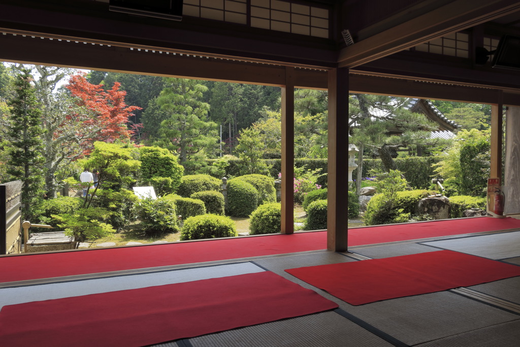 大池寺庭園①