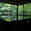 緑溢れて