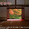 年賀状