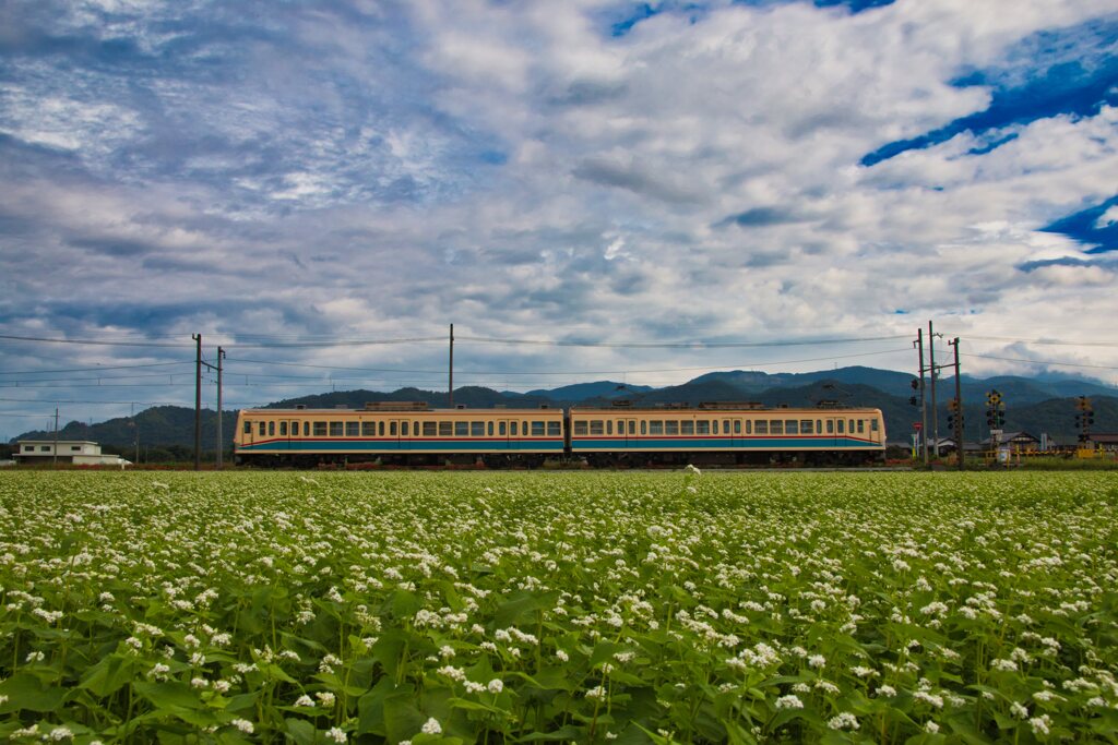 各駅停車