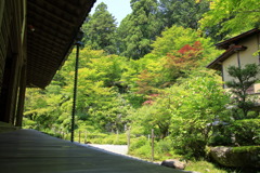 明寿院庭園