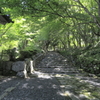 木漏れ日の参道～地上の楽園跡にて