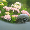 悟りの窓？？？