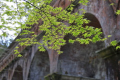 青紅葉と水路閣②